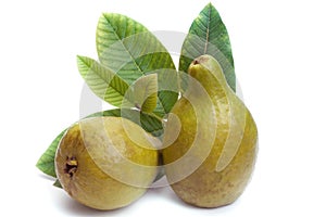 Fresh Guava fruit with leaves