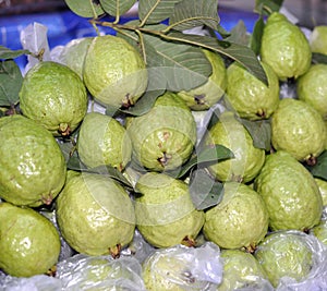 Fresh guavas photo