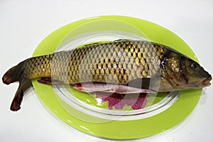 Fresh gutted carp lying on a light green dish