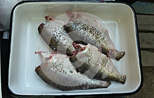 Fresh gutted fish