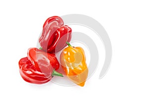 Fresh habanero peppers, isolated on white. Mexican food. Salsa Habanero. Hot peppers