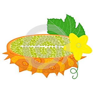 Fresh half cut yellow kiwano fruit with leaf and flower isolated on white background. Summer fruits for healthy