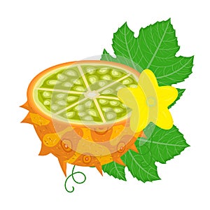 Fresh half cut yellow kiwano fruit with leaf and flower isolated on white background. Summer fruits for healthy