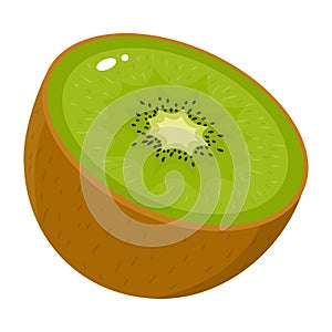 Fresh half kiwi fruit isolated on white background. Summer fruits for healthy lifestyle. Organic fruit. Cartoon style. Vector