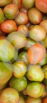 fresh half ripe tomatoes