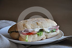 Fresh Ham cheese Sandwich on Plate