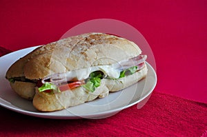 Fresh Ham Cheese Sandwich on White Plate