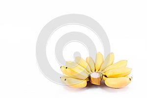 Fresh hand of golden bananas on white background healthy Pisang Mas Banana fruit food isolated