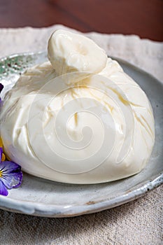 Fresh handmade soft Italian cheese from Puglia, white ball of burrata foglia saporosa or burratina cheese made from mozzarella and