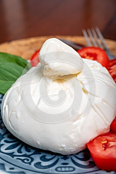 Fresh handmade soft Italian cheese from Puglia, white ball of burrata foglia saporosa or burratina cheese made from mozzarella and