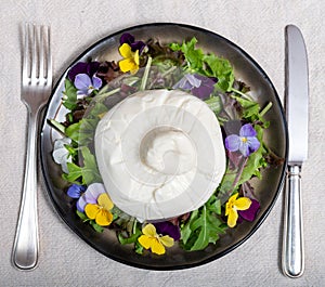 Fresh handmade soft Italian cheese from Puglia, white ball of burrata foglia saporosa or burratina cheese made from mozzarella and photo