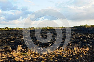 Fresh hardened Lava Kilauea volcano