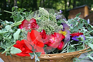 Fresh farm flowers harvest in a basket. Flower farm agriculture. Floristry craftsmanship. photo