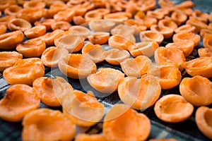 Fresh harvest of juicy mellow apricots drying on sun