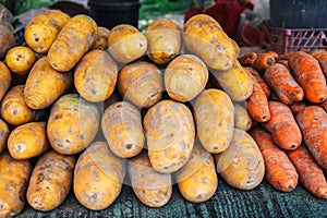fresh harvest of raw orange and yellow carrots on counter of vegetable farmers market
