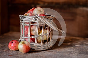 Fresh harvest of ripe and healthy farm apples in a glass jar, in a basket.