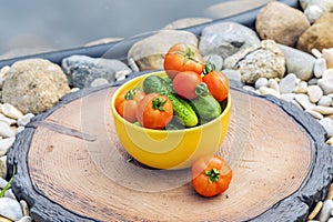 Fresh harvest of tomatoes and cucumbers on a stump near the pond
