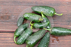 Fresh harvest of wet jalepeno peppers