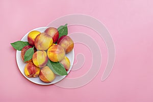 Fresh harvested nectarines, plate, leaves lies round on pink background Vegetables vitamin Keratin Natural Peach Organic
