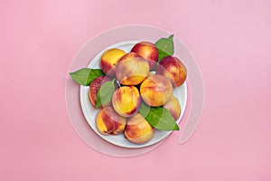 Fresh harvested nectarines, plate, leaves lies round on pink background Vegetables vitamin Keratin Natural Peach Organic