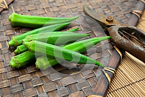 Fresh harvested okra on bamboo tray