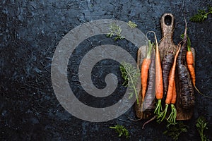 Fresh harvested organic carrots on wooden cutting board on black background top view