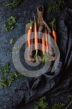 Fresh harvested organic carrots on wooden cutting board on black background top view