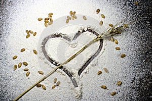 Fresh harvested wheat grain on wheat flour background. Baking concept on wood background, sprinkled flour with heart.