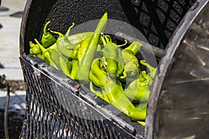 Fresh hatch chilis in an outdoor barrel roaster getting ready to be cooked