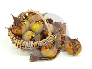 Fresh havest bio Medlar