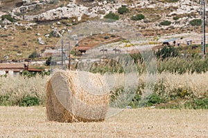 Fresh hay bales