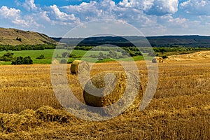 Fresh Hay bales in agriculture stubble field under fluffy blue sky