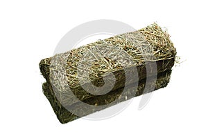 fresh hay dry grass cube for domestic animals feeding, isolated on white