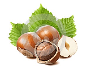 Fresh hazelnut group with leaves isolated on white background