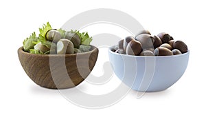 Fresh hazelnuts isolated on white background. Hazelnuts in a bowl with copy space for text.