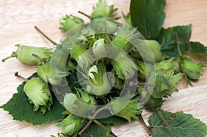 Fresh hazelnuts on wooden board