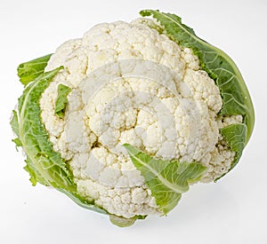 Fresh head of cauliflower on white background