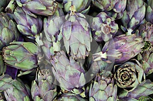 Fresh heads of globe Artichokes for sale on farmers market. Bio product for vegetable cookers