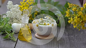 fresh healing medicinal herbs plants on wooden table