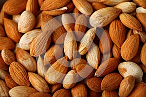 Fresh healthy apricot seeds , food background