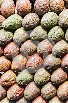 Fresh healthy avocado on farmer agricultural market