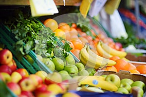 Fresh healthy bio fruits and vegetables on Bremen farmer agricultural market