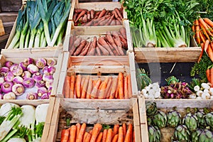 Fresh healthy bio fruits and vegetables on farmer market