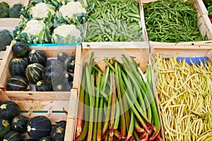 Fresh healthy bio fruits and vegetables on farmer market