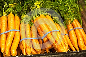 Fresh healthy carrots on display at a grocery store