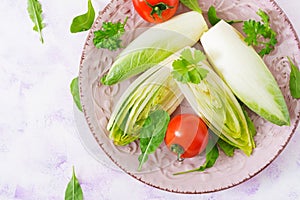 Fresh and healthy Chicory witloof Salad and tomato.