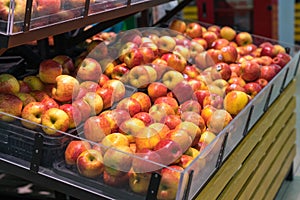 Fresh healthy fruits on shelves in supermarket