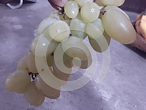 Fresh and healthy jucy green grapes teasty teast photo