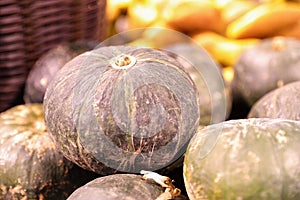 Fresh healthy pumpkin squash cushaw cuaurbit marrow squash been sold on shelf in supermarket