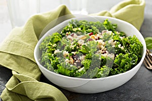 Fresh healthy salad with kale and quinoa